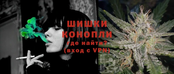 PSILOCYBIN Алзамай