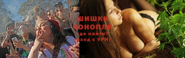 PSILOCYBIN Алзамай