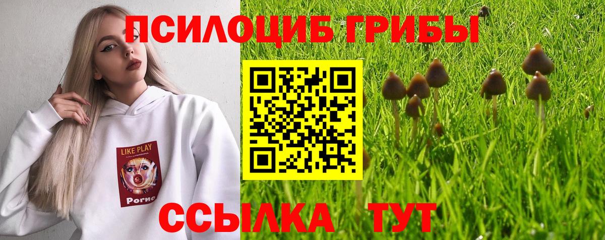 Слободской  Псилоцибиновые грибы GOLDEN TEACHER  Вход с VPN  Псилоцибиновые грибы прущие грибы 